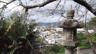 日本一早い桜祭り 名護さくら祭り2017