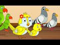 school re parikhya 6 kahani odia cartoon odia bird stories odia chadhei gapa odia moral story