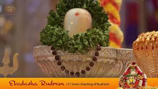 Ekadasha Rudram   11 Times Chanting of Rudram   Powerful Rudram Chanting