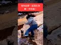 【早知如此】睇人仆街最興奮【何必當初】【訂閱】