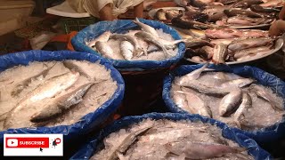 Khilkhet fish market Dhaka.