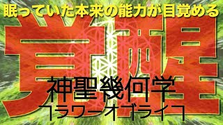 神聖幾何楽❌神聖幾何学【フラワーオブライフ】神聖幾何学の「カタチ」の持つ力と神聖幾何楽の「音」の波動の持つ力