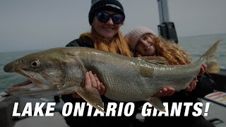 Fishing Lake Ontario for GIANT Spring Lake Trout - Niagara Bar GIANTS