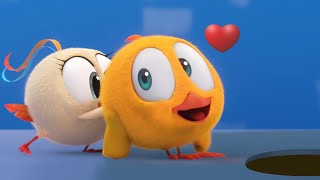 Where's Chicky? SEASON 2 | THE TRAP | Chicky Cartoon in English for Kids