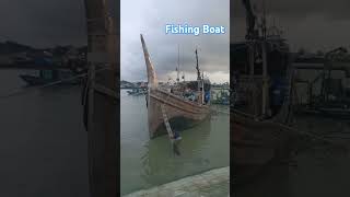 Fishing Boat #fisherman #shorts