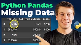 How to Deal With Missing Data In Python Pandas (20+ Examples!)
