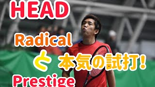 HEAD ラジカルとプレステージをガチで試打してみた\u0026関口周一のラケットのスペック初公開！！