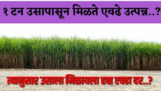 बापरे..! एक टन उसापासून मिळते एवढे उत्पन्न?|| त्यानुसार उसाला मिळायला हवा एवढा दर