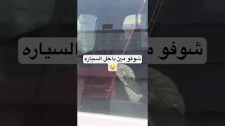 مين داخل السياره#shorts #السعودية #اكسبلور #2023 #ترند #short