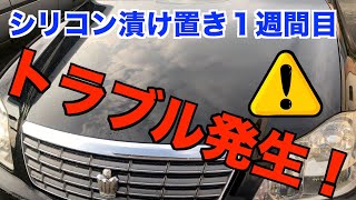 【シリコン洗車】シリコン漬け置き1週間目！やっと綺麗に...の筈が思わぬ事態に！！