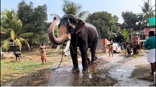 ചിറക്കൽ കാളിദാസന്റെ നീരാട്ട് . തൈപ്പൂയം പെരുന്ന 2023 Chirakkal Kalidasan