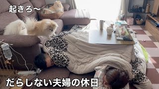 【ブチギレ】だらしない夫婦とポメラニアンの休日