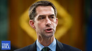 Tom Cotton GRILLS Biden's nominee, questioning her on civil law