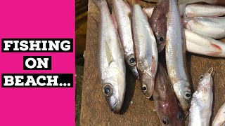 Fishing Village,Gatumba Bujumbura Burundi, Africa || Dry Fish || Fresh Fish || Full HD