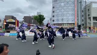 Soka Samba Festival Japan 2024💃.