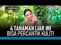 Tak Disangka! 4 Tanaman Ini Ternyata Bermanfaat untuk Kecantikan Kulit | Hidup Sehat tvOne