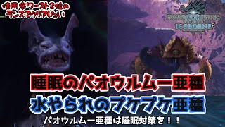 【MHW:IB】アラおじランス放浪記#3 パオウルムー亜種とプケプケ亜種を「攻めの守勢」LV3装備でまとめて狩猟する！装備紹介も【アイスボーン】