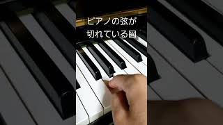 ピアノの弦が切れている図 #shorts #piano