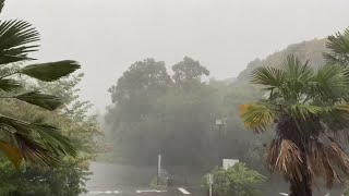 Wind and rain lash Tokyo area as south Japan braces for typhoon