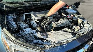 Engine bay cleaning 101