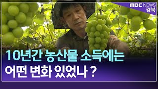 R)10년간 농산물 소득에는 어떤 변화 있었나 ? / 안동MBC