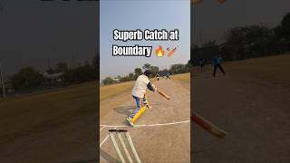 Superb Catch at Boundary 🏏🔥#shorts #viratkohli #gopro #explore #sundaycricket #friends #viral #ipl