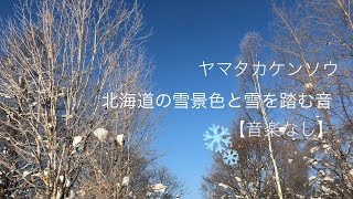 北海道の雪景色と雪を踏む音　【音楽なし】