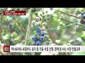 sbn “사업평가 3관왕 직원 덕분”…서천 장항농협 남택주 조합장 상생을 위해 더 노력할 터