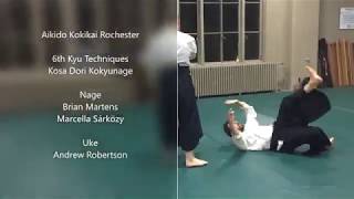 Aikido Kokikai 6th Kyu (First Test) Techniques