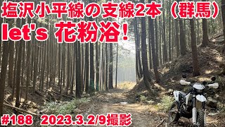 【2023年全線映像】塩沢小平線で興味深々の支線2本【群馬マイスター推奨】