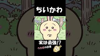 【ちいかわ】実は最強格！？うさぎの日常【うさぎ切り抜き】#shorts