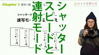 【初心者必見】プロのフォトグラファーによるカメラ用語解説【シャッタースピード】