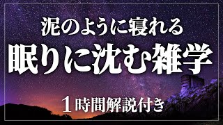 【睡眠導入/作業用】深夜に聞きたい、眠りの雑学 寝ながら賢くなる日常生活100の雑学1時間 ストレス緩和【BGMなし】【男性朗読】