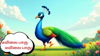 மயிலை பாரு மயிலை பாரு!|Tamil rhymes for kids@rvrhymes#kids#cartoon#animation#rhymes#kidsrhymes