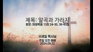 2024년 9월 22일 감사교회 주일 오전 예배 설교(마태복음 13장 24-30, 36-43절)