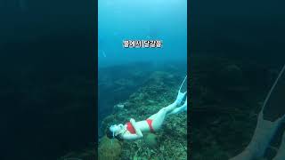 물 속 세상에서 노는 법 #freediving