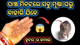 ବିନା କେମିକାଲ ବିନା ମେଡ଼ିସିନ ଘୋରଇ  ଉପାୟରେ ମୂଷାକୁ ବାହାର କରିବା /jugad ର tips/Get rid of mouse