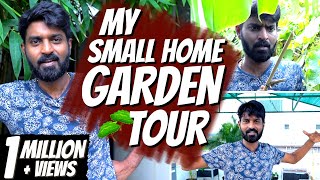 My Small Home Garden Tour 🏡🪴💐  | Plants Collection | Mr. Makapa