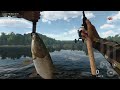 unique common barbel guide best hotspot at tiber river fishing planet