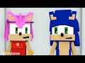 Who will Amy Fall in Love RICH Shadow vs POOR Sonic  Sonic the Hedgehog 2