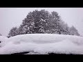 ウェザーリポート動画＠北広島町芸北11時過ぎ　駐車場に降り続ける雪