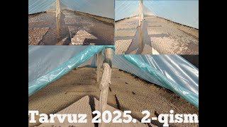 Tarvuz 2025. 2 - qism