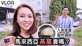 Vlog #64 馬來西亞燕窩貴嗎？｜進入燕窩屋+製作過程