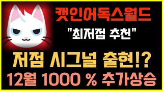 [캣인어독스월드 코인] 이 가격에 안사신다구요?