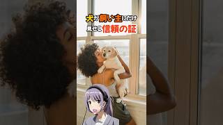 犬が飼い主にだけ見せる信頼の証#shorts #dog #ワンちゃん #犬#ai美女