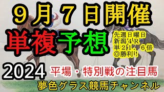 【単複平場予想】2024年9月7日JRA平場戦！中京メインエニフステークス含む8頭！先週は新潟で単20倍超え勝利も！