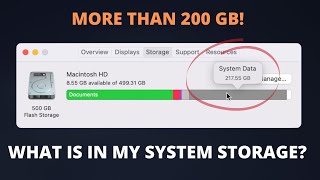 Why is My Mac System Storage More than 100GB?