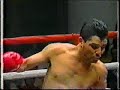 Acelino Freitas-Javier Jauregui highlights boxing video