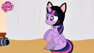 RAINBOW DASH REAGINDO às PÔNEIS GATINHAS 3 #LuliRarity