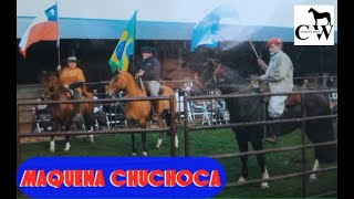 Ep 8  Maquena Chuchoca: The Small Giant of Criollo Breed by Criollo Wise Podcast